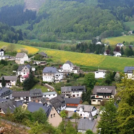 Apartment Am Iberg Ii Willingen (Upland)