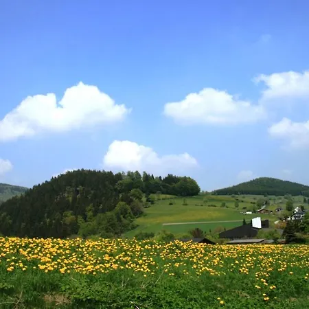 Am Iberg Ii * Willingen (Upland)