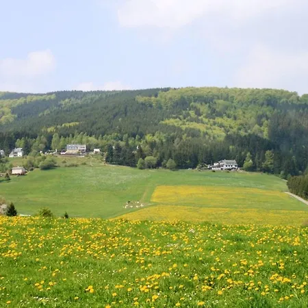 Am Iberg Ii Apartment Willingen (Upland)