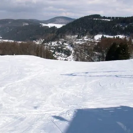 Am Iberg Ii Willingen (Upland)